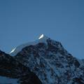 Bernina_10_piz alv.jpg