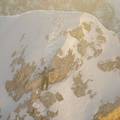 DSC01596.JPG