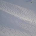 DSC01885.JPG
